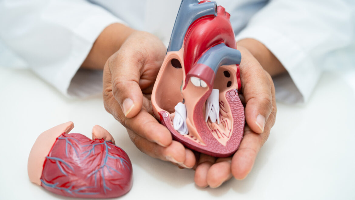 Heart health Heart health