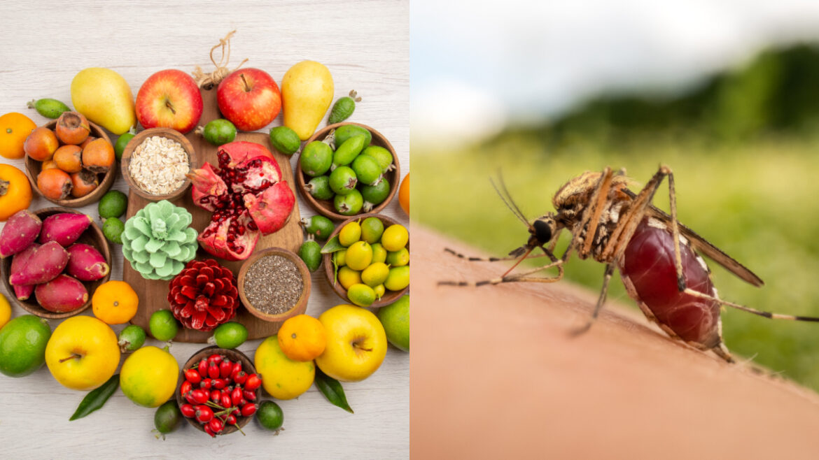 Fruits to increase platelets Fruits to increase platelets