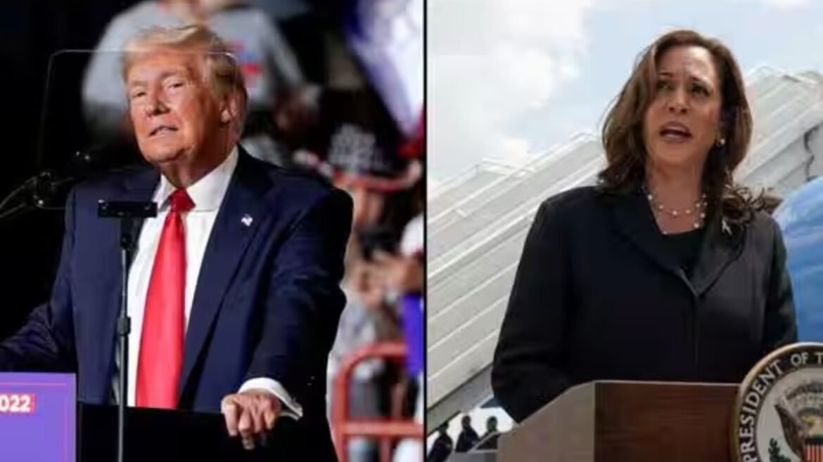 trump kamala harris