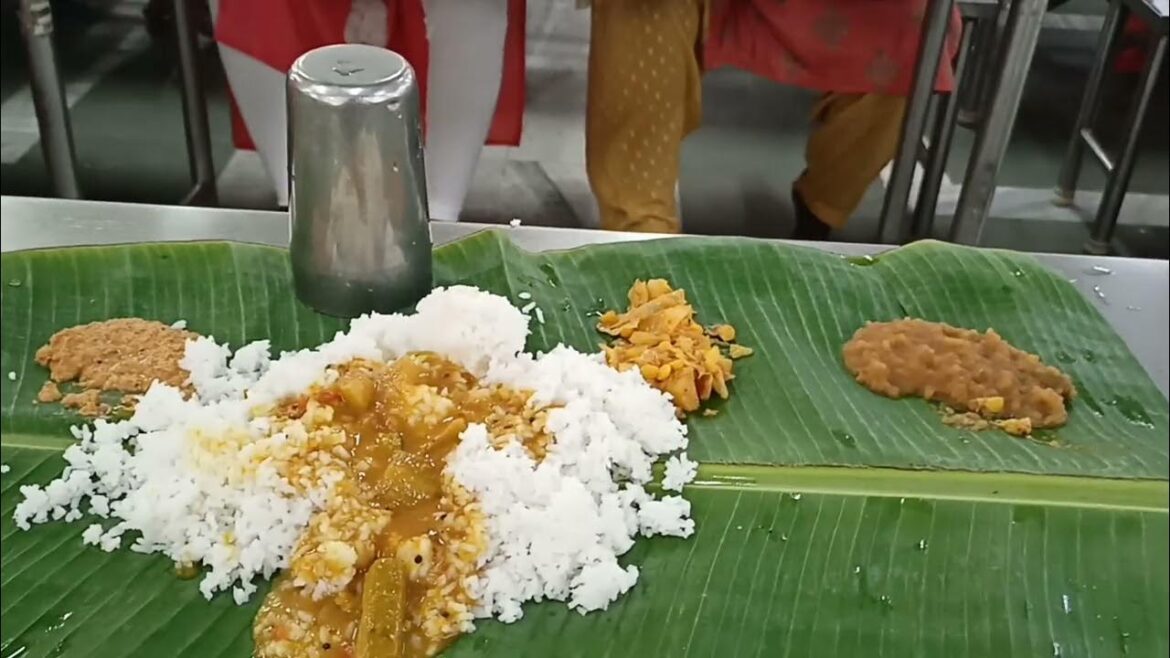 Tirumala prasadam centipede Tirumala prasadam centipede