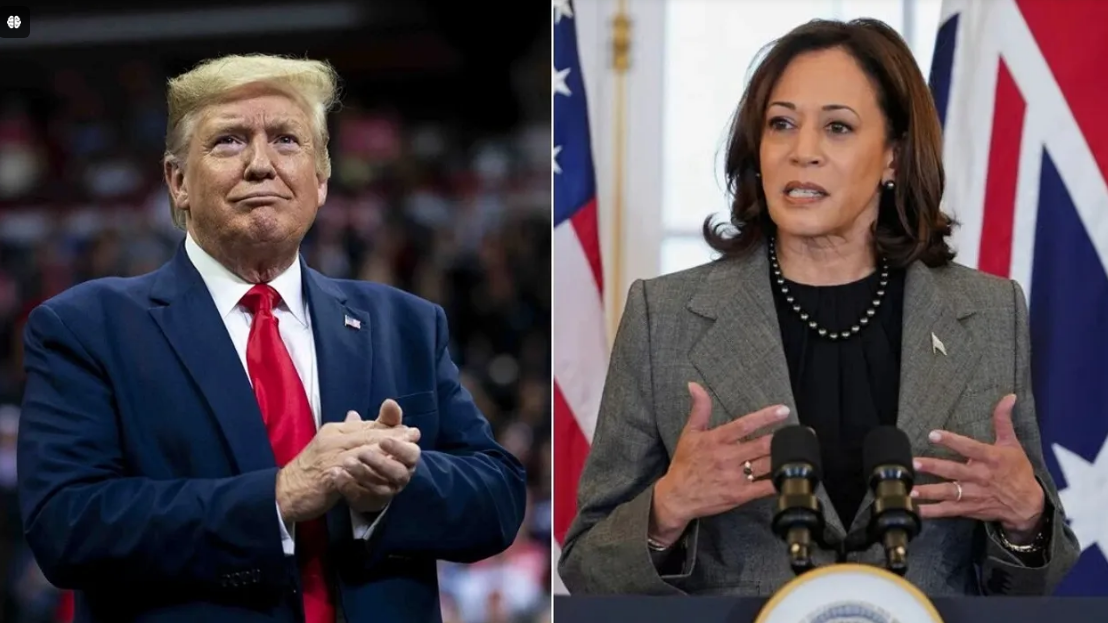 Trump vs harris Donald Trump Vs Kamala Harris