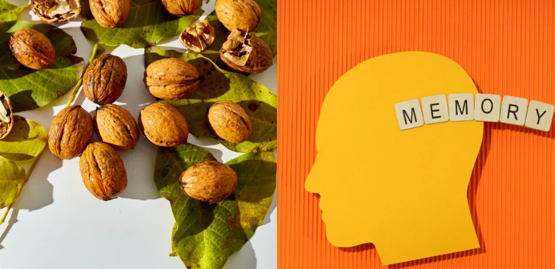 wallnut brain power wallnuts