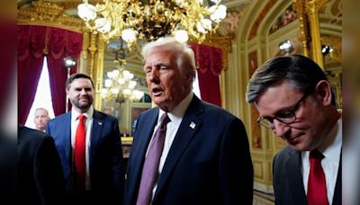 Donald Trump on citizenship