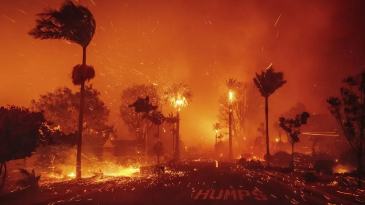 wildfire Los Angeles
