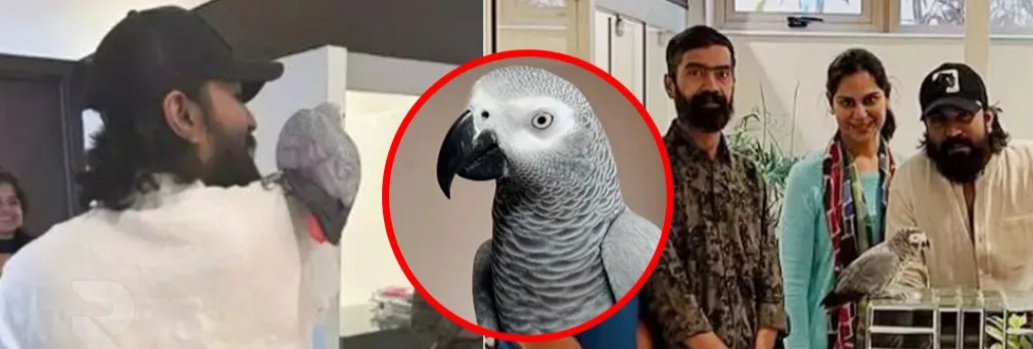 Ram Charan parrot