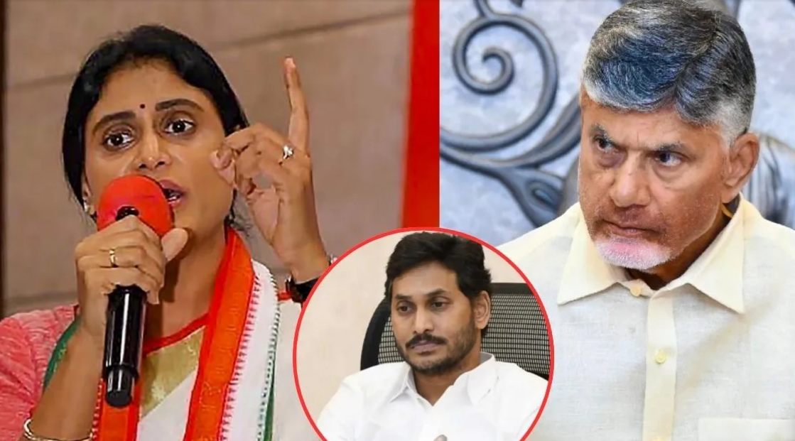 Sharmila Chandrababu Sharmila Chandrababu