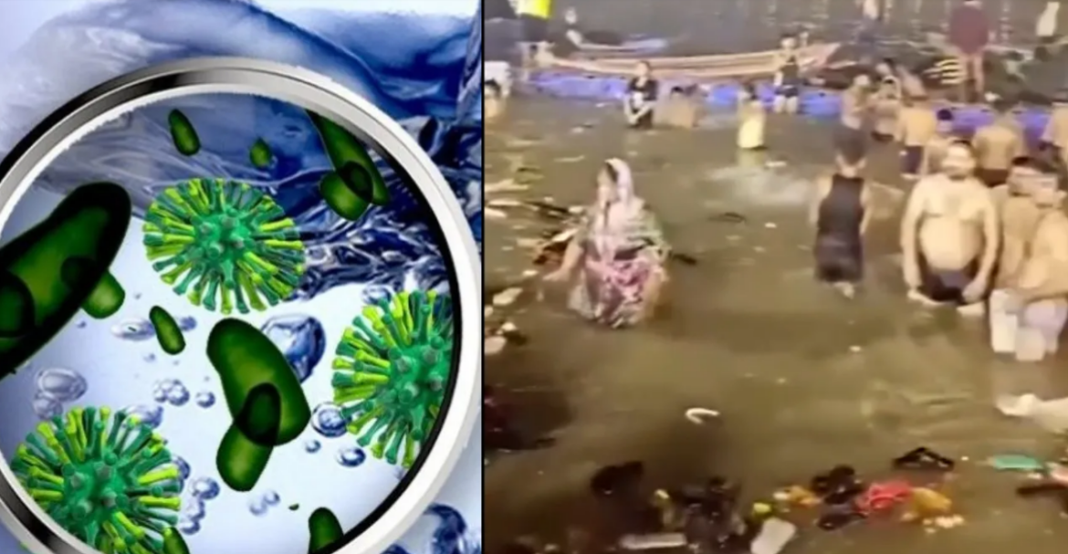 coliform Ganga river