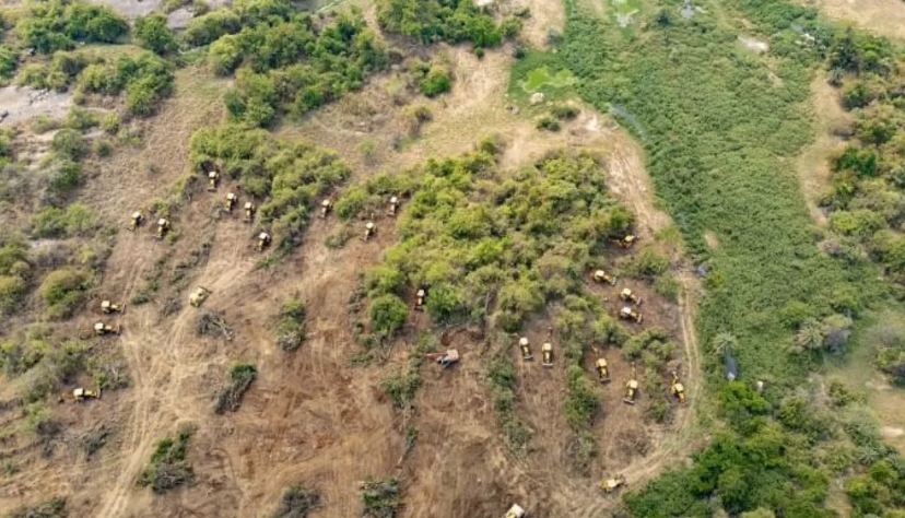 KANCHA Gachibowli Kancha Gachibowli