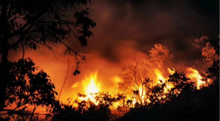Seshachalam forest wildfire