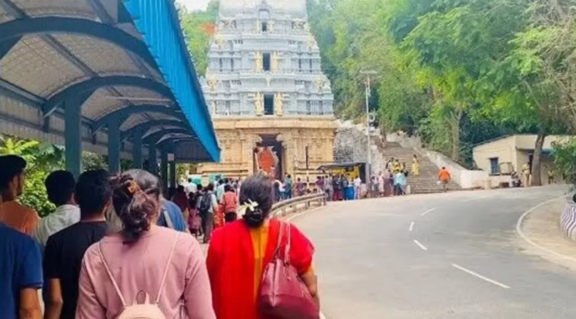 Tirumala leopard Tirumala leopard