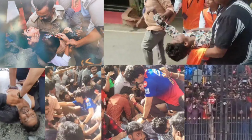 stampede RCB stampede RCB