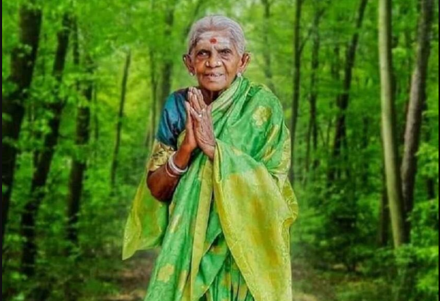 Saalumarada Thimmakka