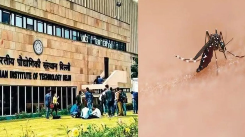 IIT mosquito detergent powder