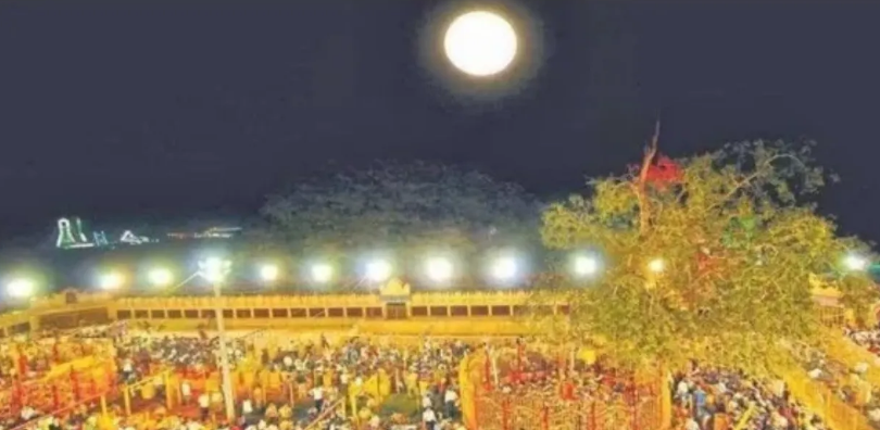 sammakka jatara
